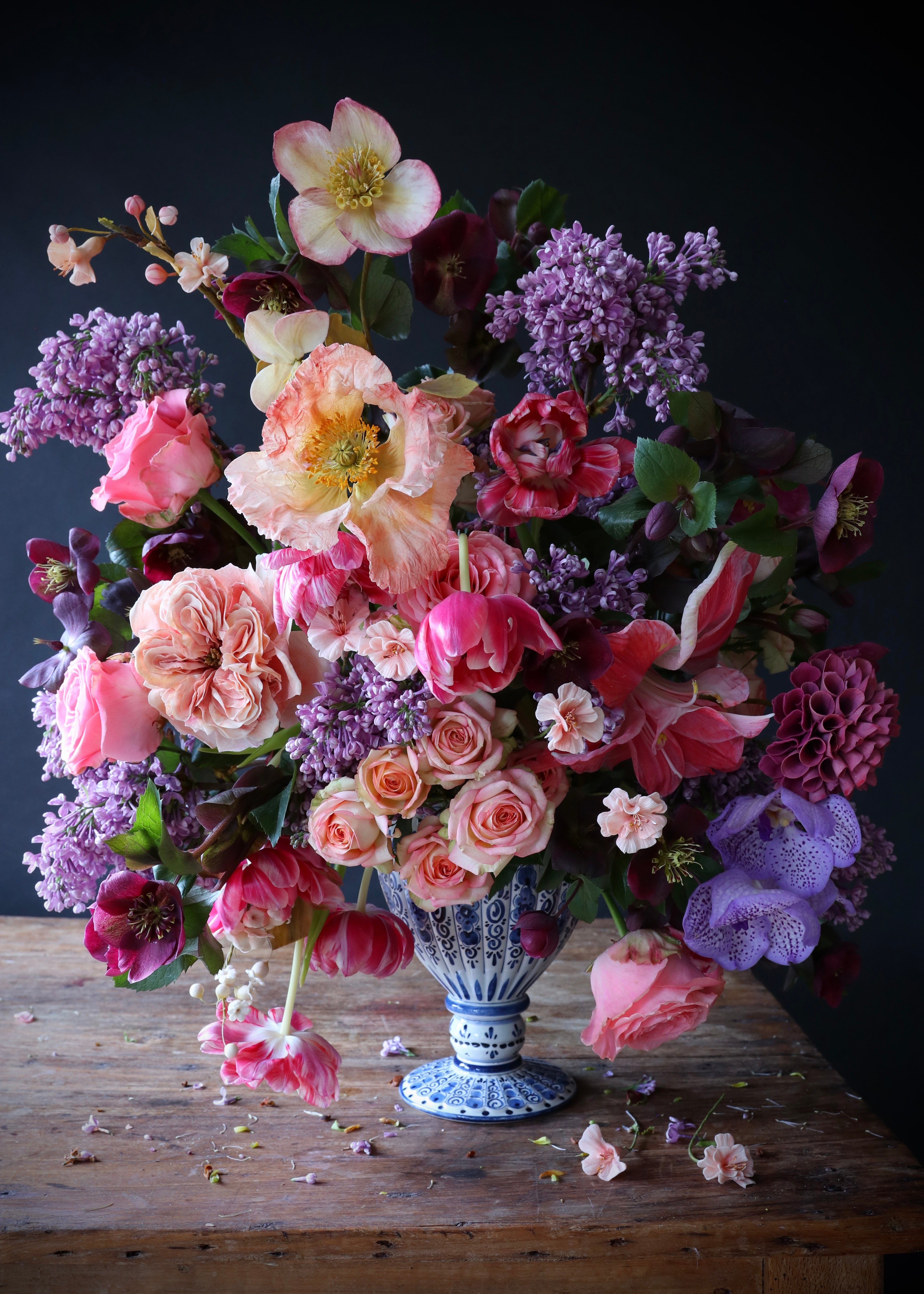 Syringa Blush
