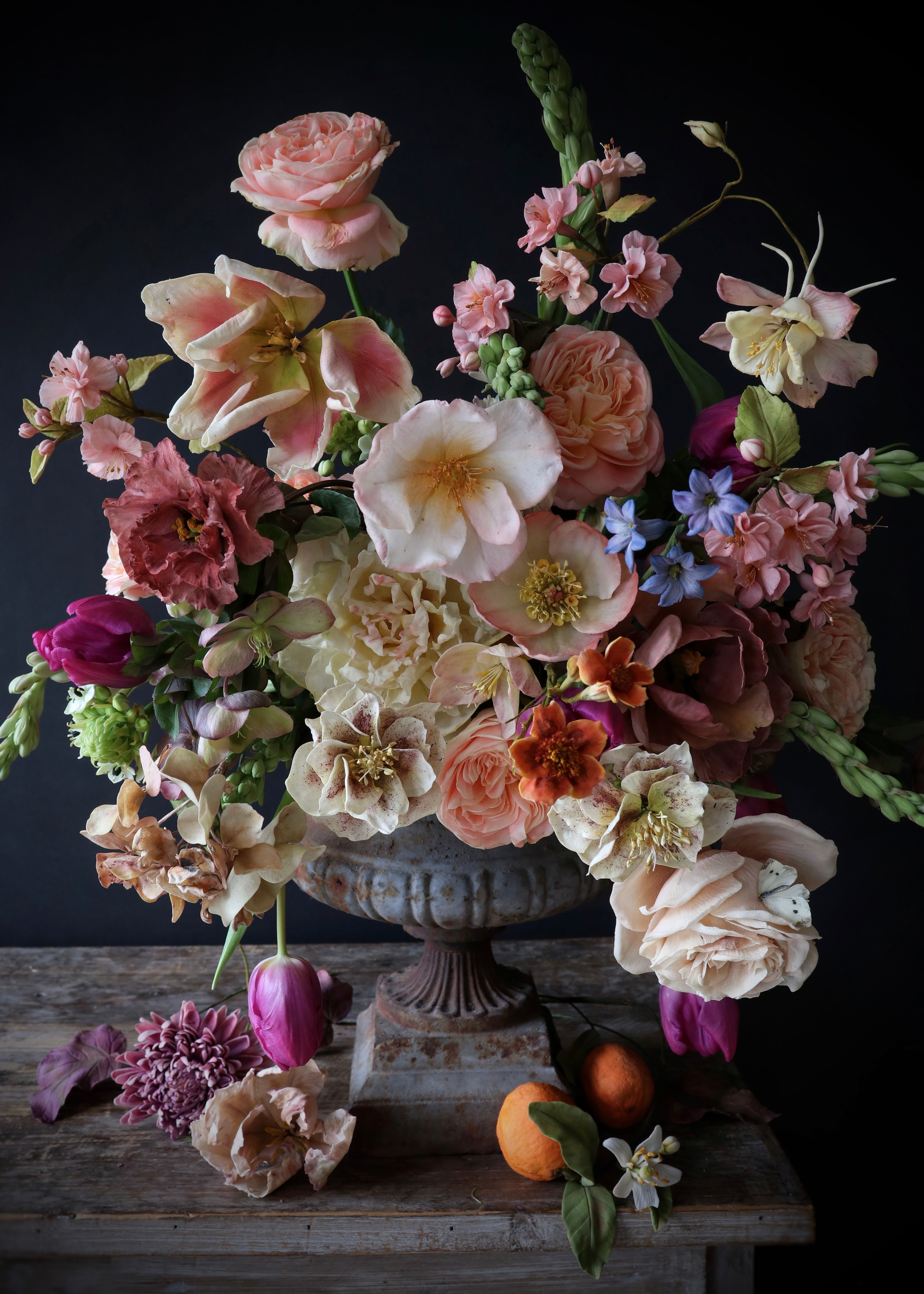 Sugarflower Glory #1